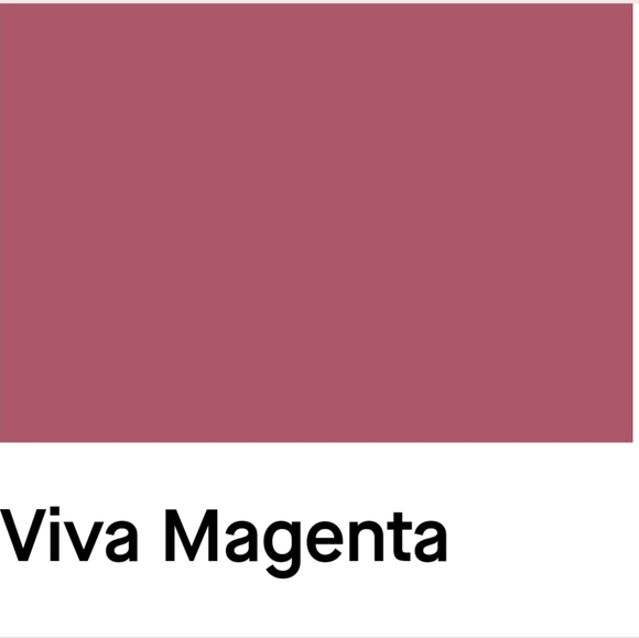 🔴SOLD🔴 Vintage Vanity Fair Hand Dyed Slip in Viva Magenta Size 34 - Picture 8 of 16